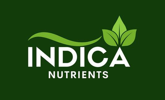Next-Gen Evolution: Inside Our New Packaging & Upcoming Product Launch