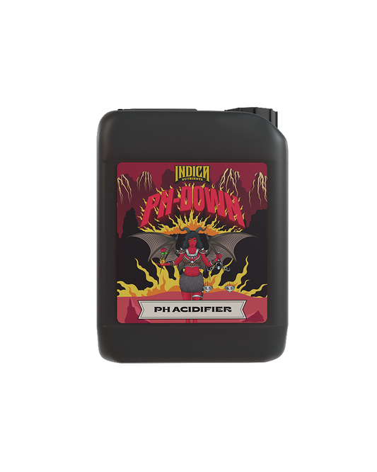PH-DOWN - 5L