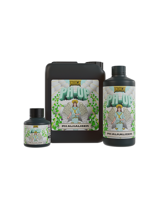 PH-UP - 250ml