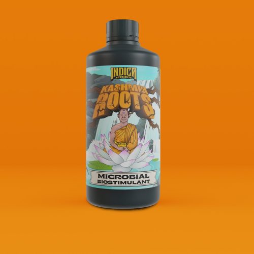KASHMIR ROOTS - 1L