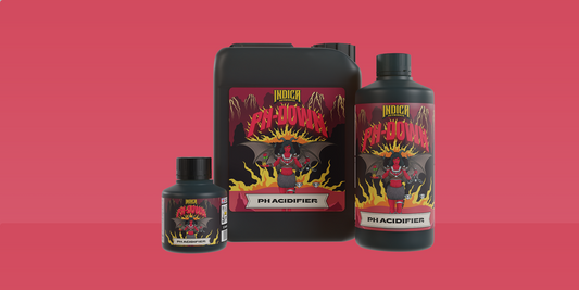 PH-DOWN - 250ml